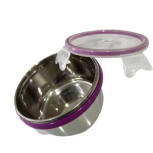 Stainless Steel Curry Box Small Tiffin